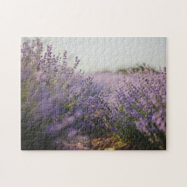 Lavender Fält bygger Jigszle Puzzle Pussel (Horisontell)