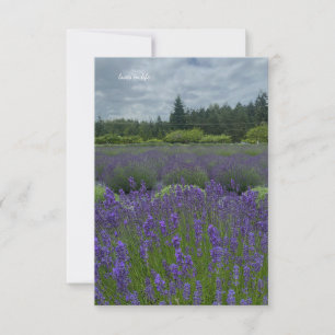 Lavender Fält, Cloudy Day Anteckningskort