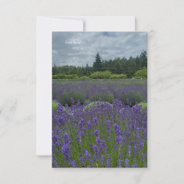 Lavender Fält, Cloudy Day Anteckningskort (Framsida)