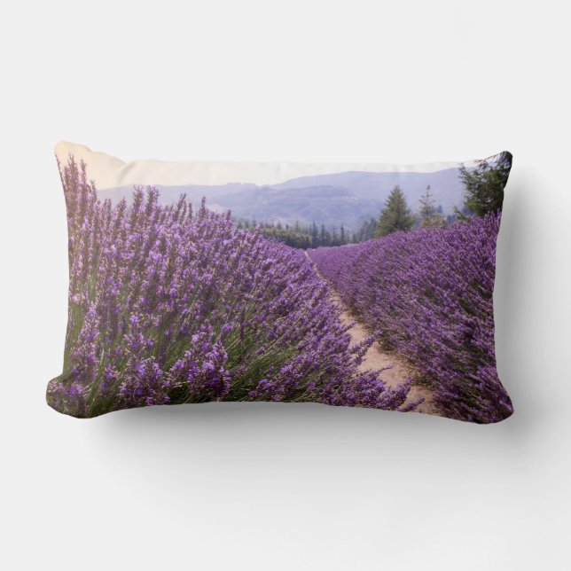 Lavender Fält cushion Lumbarkudde (Framsida)