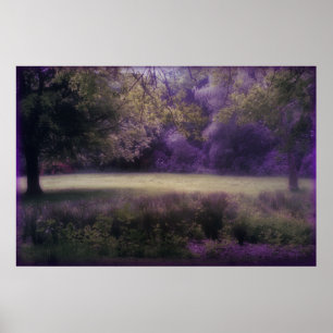 Lavender Fält i Dreams Poster