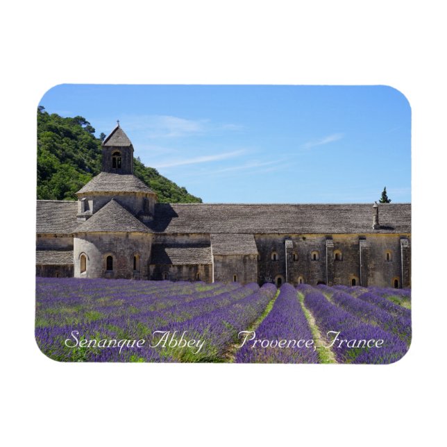Lavender Fält i Senanque Abbey Magnet (Horisontell)