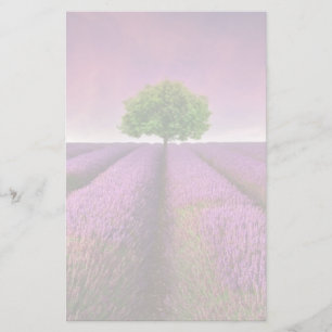 Lavender Fält landskap, sommartid Brevpapper