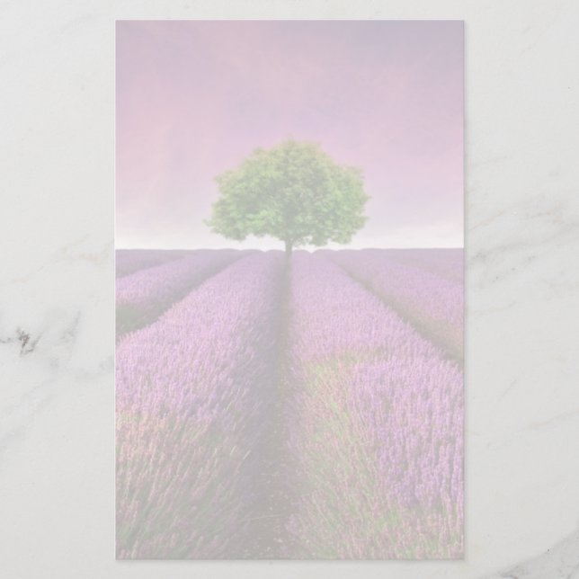 Lavender Fält landskap, sommartid Brevpapper (Framsida)