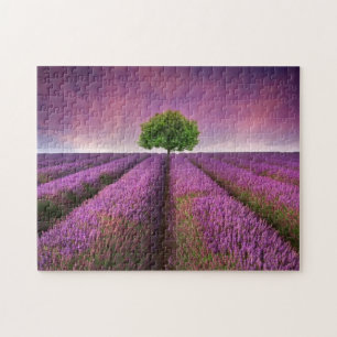 Lavender Fält landskap, sommartid Pussel