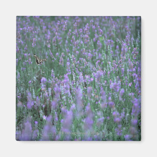 Lavender Fält Magnet