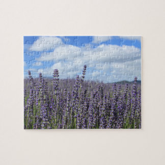 Lavender Fält med Blå himmel och vita moln Pussel