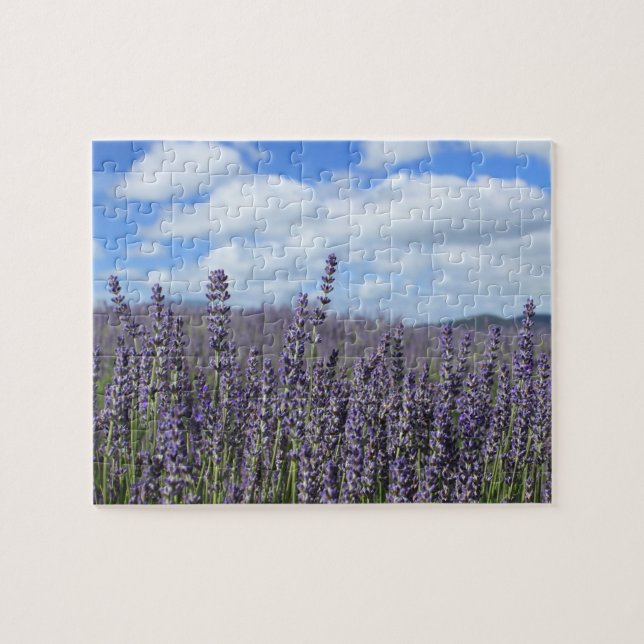 Lavender Fält med Blå himmel och vita moln Pussel (Horisontell)