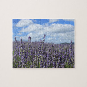 Lavender Fält med molnen Blå himmel och White Pussel