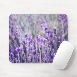 Lavender Fält Musmatta