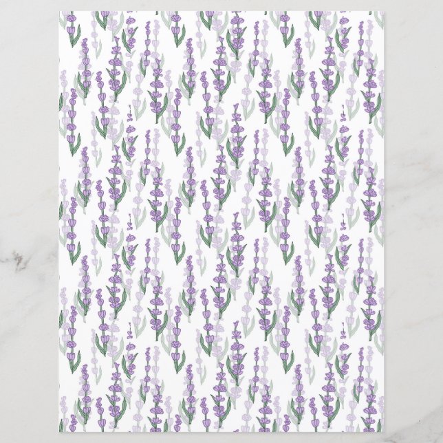 Lavender fält provence lila blomma (Framsida)