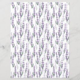 Lavender fält provence lila blomma