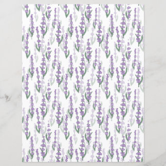 Lavender fält provence lila blomma