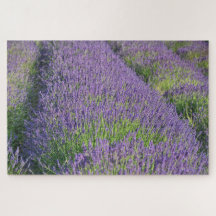 Lavender fält Puzzle