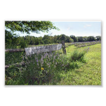 Lavender Fält Sign