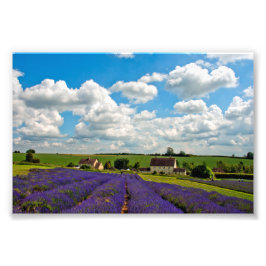 Lavender Fält Summer Flowers Cotwets England Fototryck