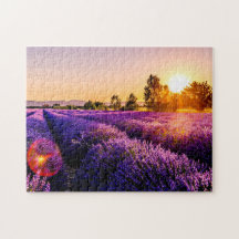 Lavender Fält Sunset Jigszawa Puzzle for Vuxnas