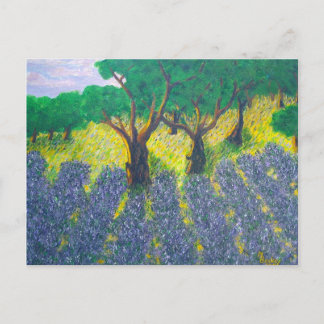 Lavender Fält Vykort