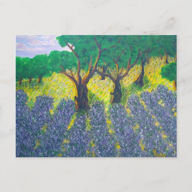 Lavender Fält Vykort (Framsida)