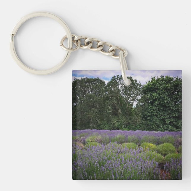 Lavender Farm (Framsidan)