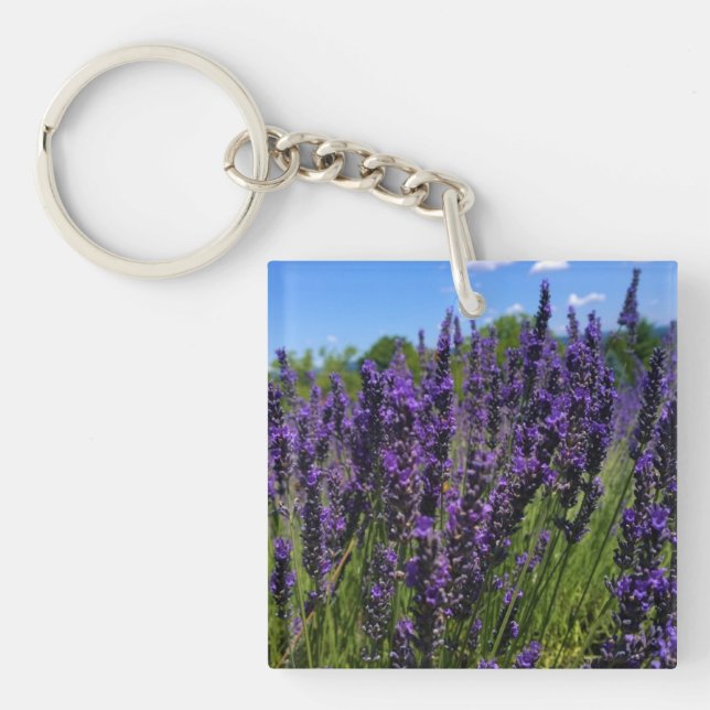 Lavender Farm (Framsidan)