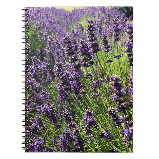 Lavender Farm Anteckningsbok (Framsidan)