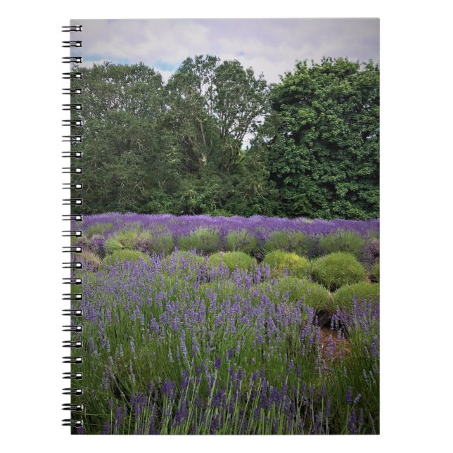 Lavender Farm Anteckningsbok (Framsidan)