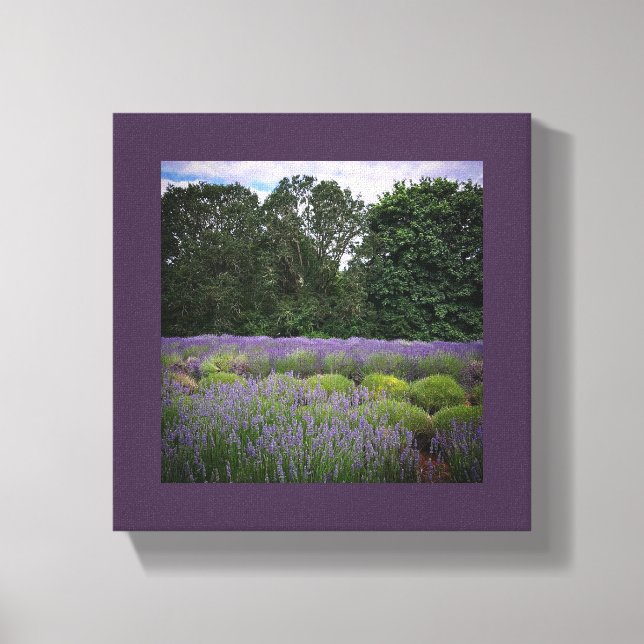 Lavender Farm Canvastryck (Framsida)