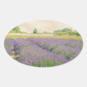Lavender Farm - Distress Ovalt Klistermärke