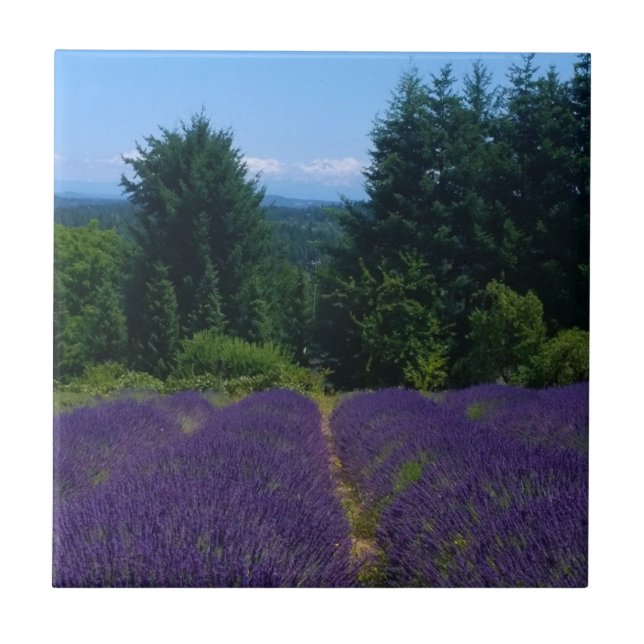 Lavender Farm Kakelplatta (Framsidan)