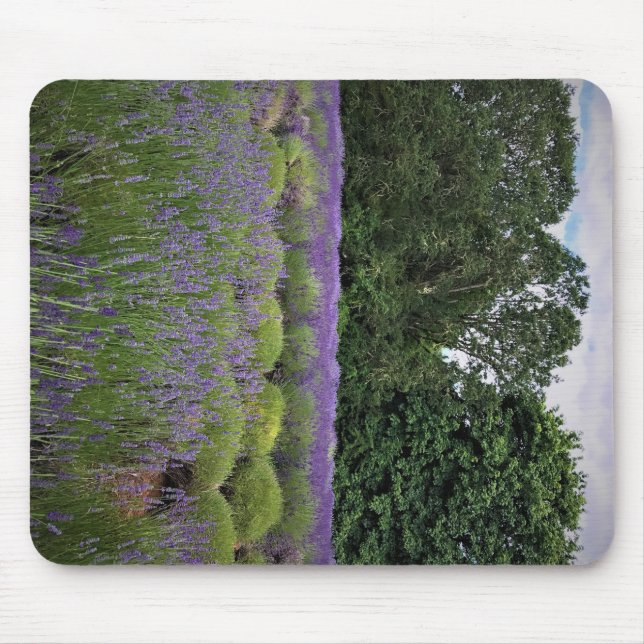 Lavender Farm Musmatta (Framsidan)