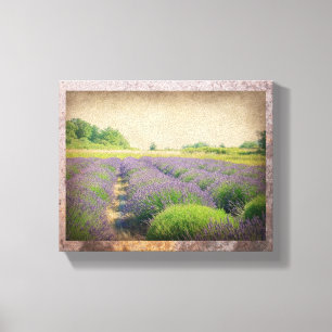 Lavender Farm - utskriven arbetsyta Canvastryck
