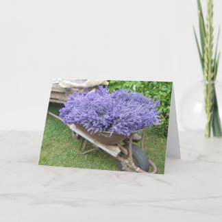 Lavender Filling Wheelbarrow Kort