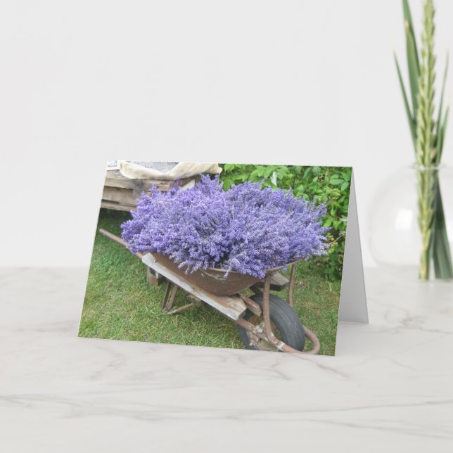 Lavender Filling Wheelbarrow Kort (Framsida)