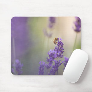 Lavender Flower Honeybee Natature Photo Musmatta