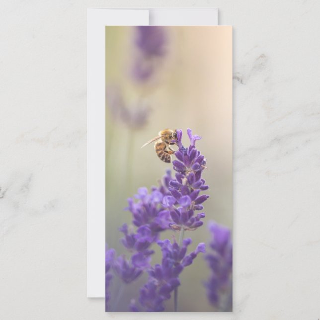Lavender Flower Honeybee Nature-fotokort (Framsida)