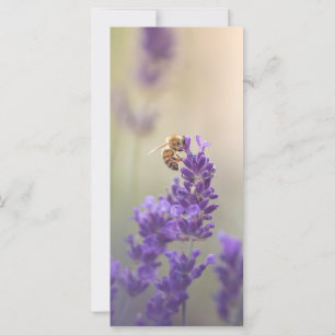 Lavender Flower Honeybee Nature-fotokort