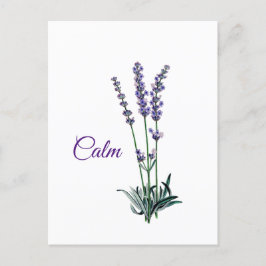 Lavender Flower Lugn inspiration Vykort