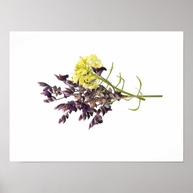 Lavender Flower Poster (Framsidan)