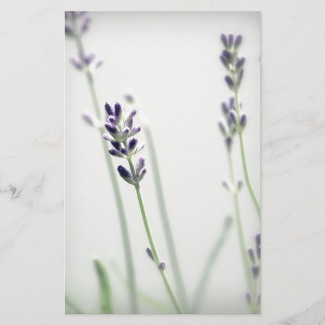 Lavender Flowers (Framsida)