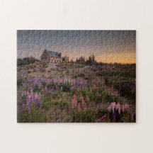 Lavender Flowers Backe och byhuset Fält