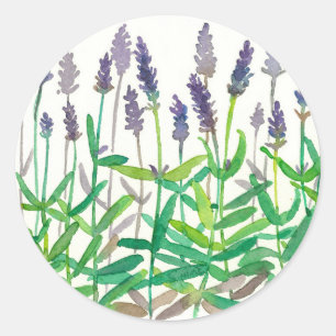 Lavender Flowers Botaniana Watercolor Örters Art Runt Klistermärke