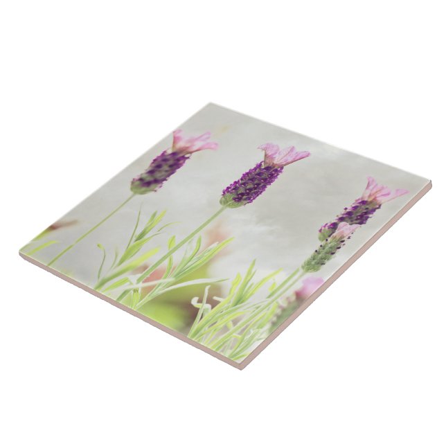 Lavender Flowers Kakelplatta (Sidan)