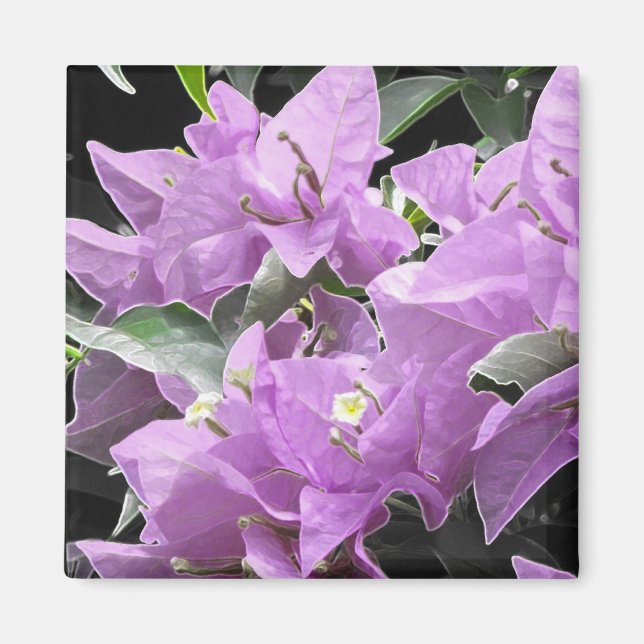 Lavender Flowers Magnet (Framsidan)