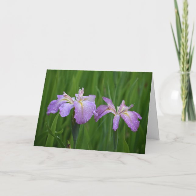 Lavender Flowers Notecards Kort (Framsida)