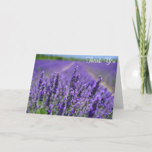 Lavender Flowers Söt Lila Blommigt Tack Kort