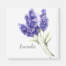 Lavender Flowers Watercolor