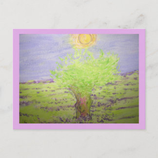 Lavender Fragrance Vykort