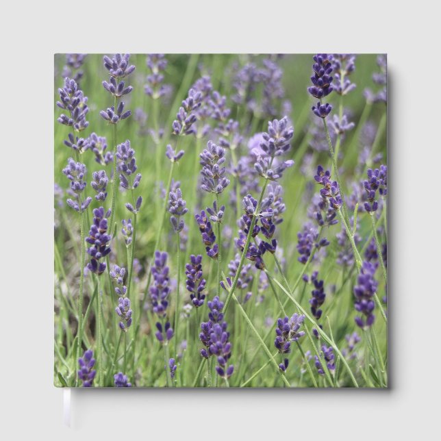 Lavender Gästböcker (Framsida)