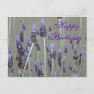 lavender Grattis på födelsedagen Vykort